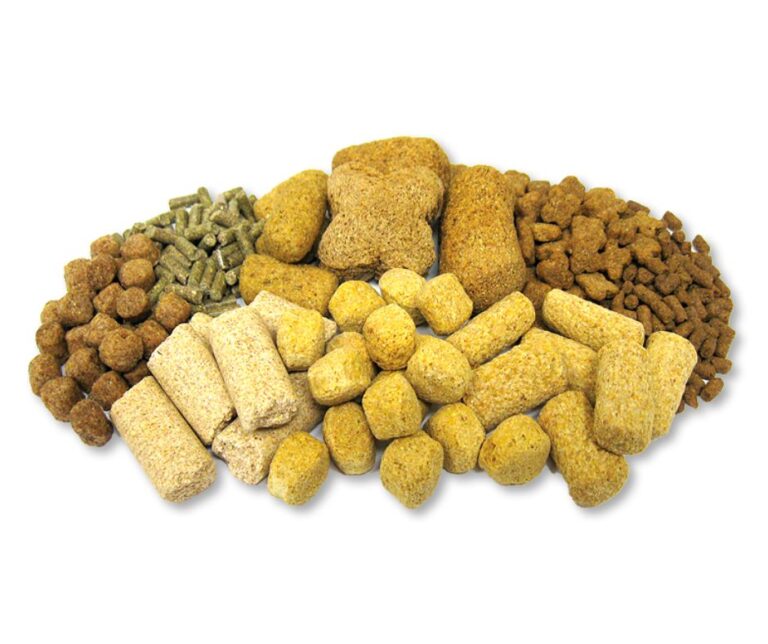 Lab Rats Snacks Lab Animal Diets - KCC Bio Labs